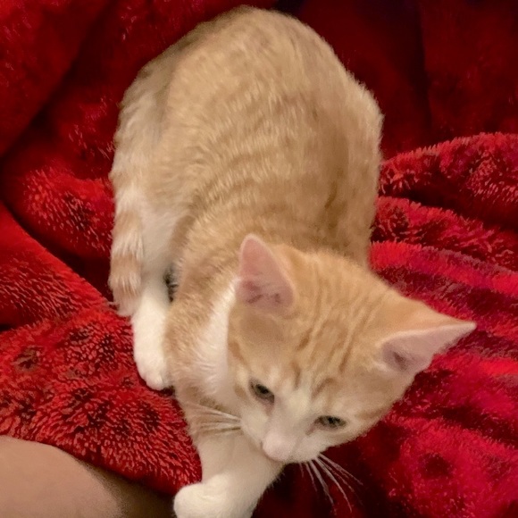 Meet your Posher, Dorothy - Picture 4 of 13